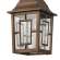 Уличный настенный светильник с лампочкой Favourite Hunt 2079-1W+Lamps А60