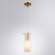 Подвесной светильник Aries Arte lamp A8983SP-1PB