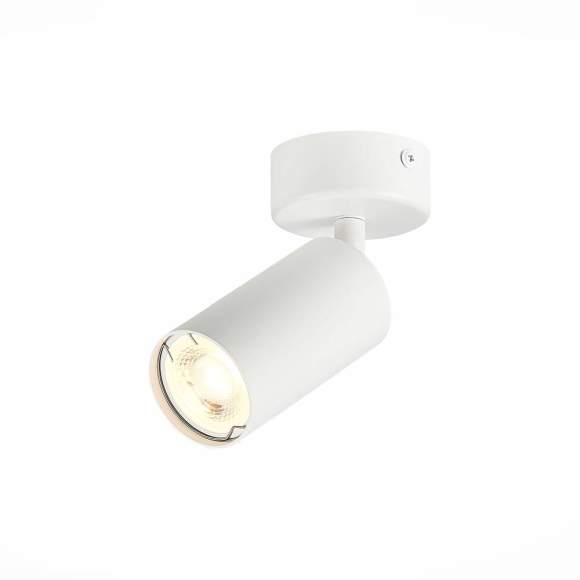 Потолочный светильник накладной поворотный ST-Luce Dario ST303.502.01