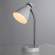 A5049LT-1WH Настольная лампа Arte Lamp 48