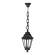E22.120.000.AXF1R Уличный подвесной светильник Fumagalli Sichem/Anna