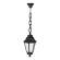 E22.120.000.AYF1R Уличный подвесной светильник Fumagalli Sichem/Anna