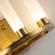 Настенный светильник Favourite Geyser 3015-5W