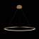 Светильник подвесной светодиодный LOFTIT Ring 10014L