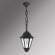E26.120.000.AXF1R Уличный подвесной светильник Fumagalli Sichem/Rut