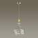 Подвесной светильник Odeon Light Bizet 4893/1A