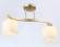 Потолочный светильник Traditional Ambrella light TR303119
