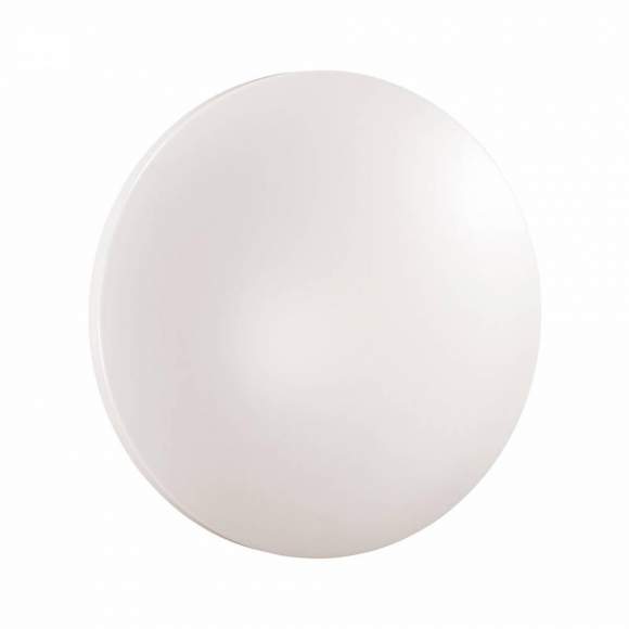 3017/CL Настенно-потолочный светильник Sonex Simple