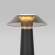 Настольная лампа Elektrostandard Future TL70200 черный (a062379)