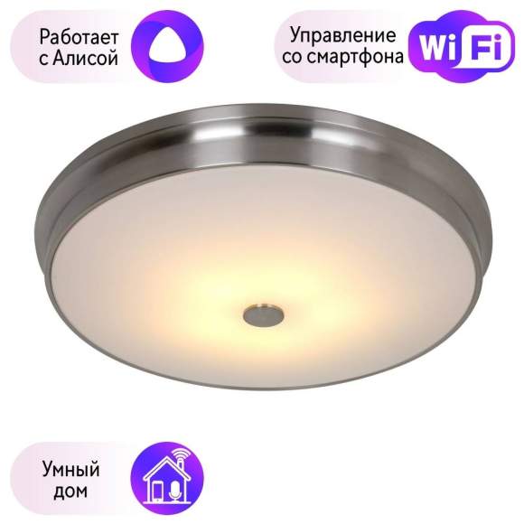 Потолочный светильник Favourite Pannikin с поддержкой Алиса 2691-5C-А