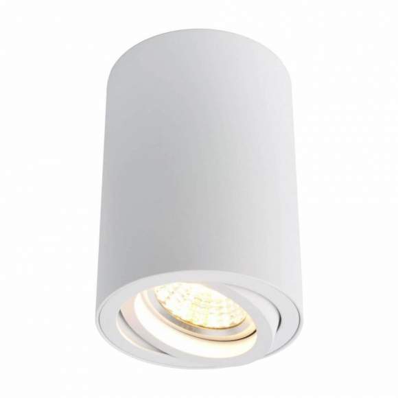 A1560PL-1WH Точечный накладной светильник Arte Lamp