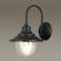Уличный светильник с лампочкой Odeon Light Kalpi 4836/1W+Lamps А60