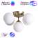 Потолочная люстра Arte lamp Fobos с поддержкой Маруся A2704PL-5SG-М