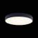 Потолочный светодиодный светильник Axel Loft It 10002/24 Black