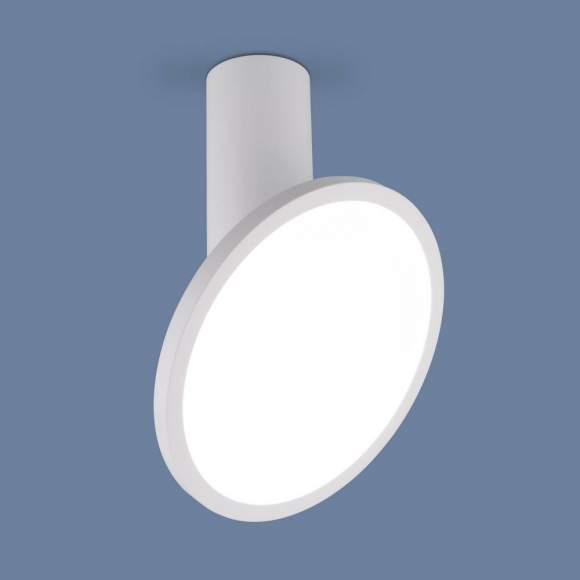 Накладной потолочный светодиодный светильник Elektrostandard Brain DLS029 12W 4200K белый матовый (a047771)