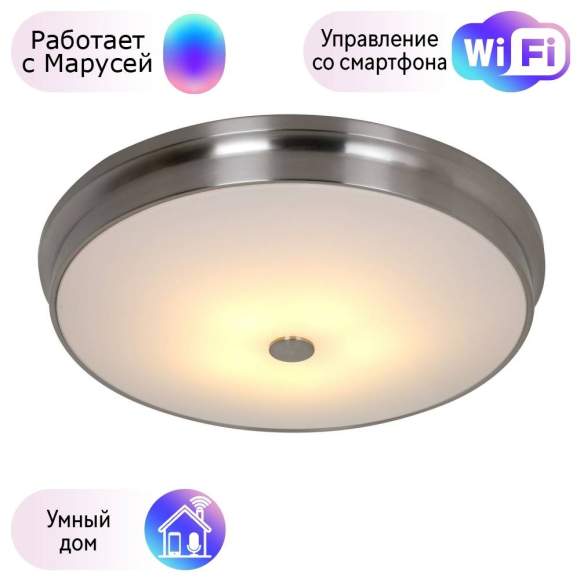 Потолочный светильник Favourite Pannikin с поддержкой Маруся 2691-5C-М