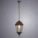 Уличный подвесной светильник Arte Lamp Genova A1204SO-1BN