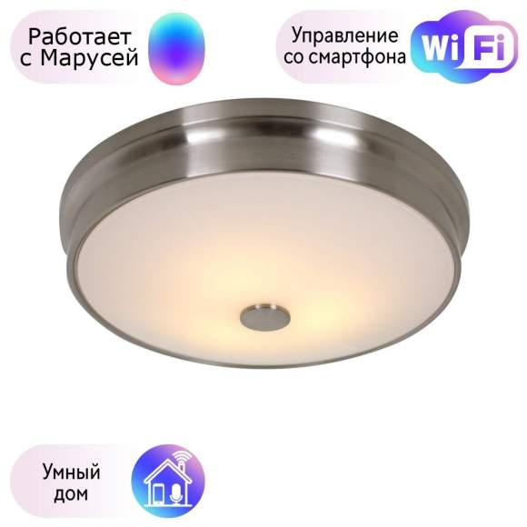 Потолочный светильник Favourite Pannikin с поддержкой Маруся 2691-3C-М