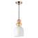 Подвесной светильник с лампочкой Lumion Gillian 4589/1B+Lamps E27 P45