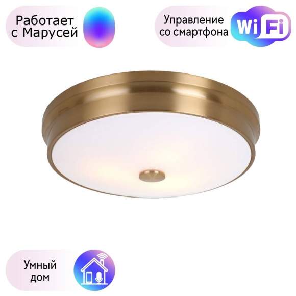 Потолочный светильник Favourite Pannikin с поддержкой Маруся 2375-3C-М