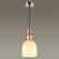 Подвесной светильник с лампочкой Lumion Gillian 4589/1A+Lamps E27 P45