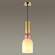 Подвесной светильник с лампочкой Lumion Gillian 4589/1+Lamps E27 P45