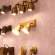 Спот с лампочками Favourite Clochette 2024-2W+Lamps E27 P45