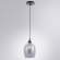 Подвесной светильник  Arte Lamp Propus A4344SP-1BK