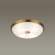 Настенно-потолочный светильник с лампочками Odeon Light Pelow 4956/4+Lamps E14 P45