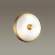 Настенно-потолочный светильник с лампочками Odeon Light Pelow 4956/2+Lamps E14 P45