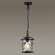 Подвесной уличный светильник с ретро лампой Odeon Light Cuita 4963/1+Retro Lamps