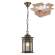 Уличный подвесной светильник с лампочкой  Favourite 1458-1P+Lamps А60