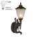 Уличный настенный светильник с лампочкой Favourite Guards 1334-1W+Lamps А60