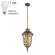Уличный подвесной светильник с лампочкой  Favourite Luxus 1495-1P+Lamps А60
