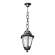 E22.120.000.BXF1R Уличный подвесной светильник Fumagalli Sichem/Anna