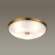 Настенно-потолочный светильник Pelow Odeon Light с поддержкой Алиса 4956/5-A