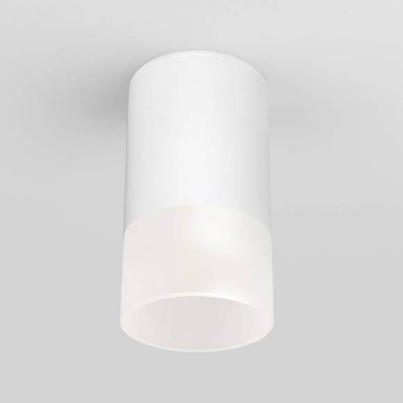 Уличный светодиодный светильник Elektrostandard Light LED 2106 IP54 35139/H белый (a057157)