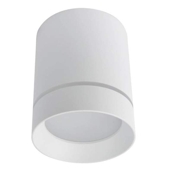 Накладной потолочный светильник Arte Lamp ELLE A1949PL-1WH