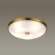 Настенно-потолочный светильник Pelow Odeon Light с поддержкой Маруся 4956/5-М