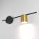 Настенный светильник Elektrostandard Acru LED черный/золото  (MRL LED 1019) (a047882)
