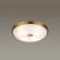 Настенно-потолочный светильник Pelow Odeon Light с поддержкой Маруся 4956/4-М