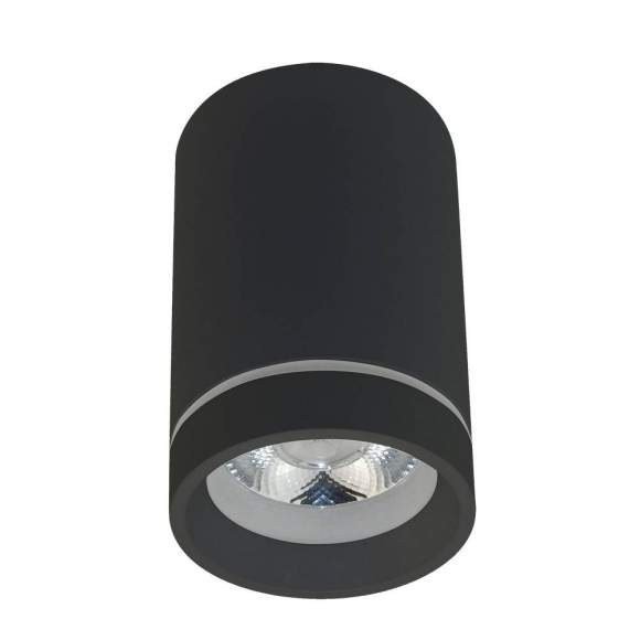 Накладной светодиодный светильник Aployt Edda APL.0053.19.10