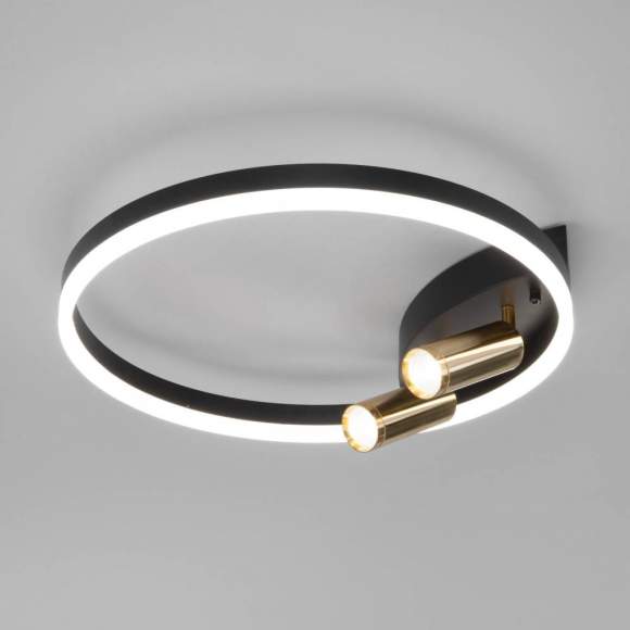 Потолочная светодиодная люстра с пультом ДУ Eurosvet Luminari 90247/3 черный/золото Smart (a055664)