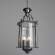 Светильник подвесной Arte Lamp Rimini A6503SP-3CC
