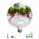 Светодиодная Фито лампа для растений E27 18W 2370 (теплый) Эра FITO-18W-RB-E27 (Б0049533)