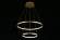 Подвесной светодиодный светильник Aployt Lunet APL.014.03.60
