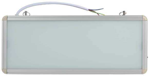 Аварийный светодиодный светильник Эра SSA-101-0-20 (Б0044387)